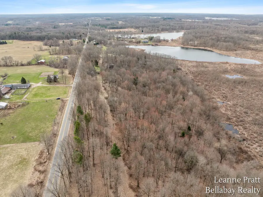 VL Hutchinson, Dowling, MI 49050 - #2