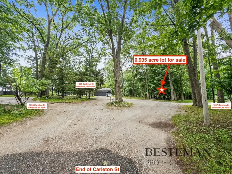 V/L Carleton Street, Whitehall, MI 49461 - #3