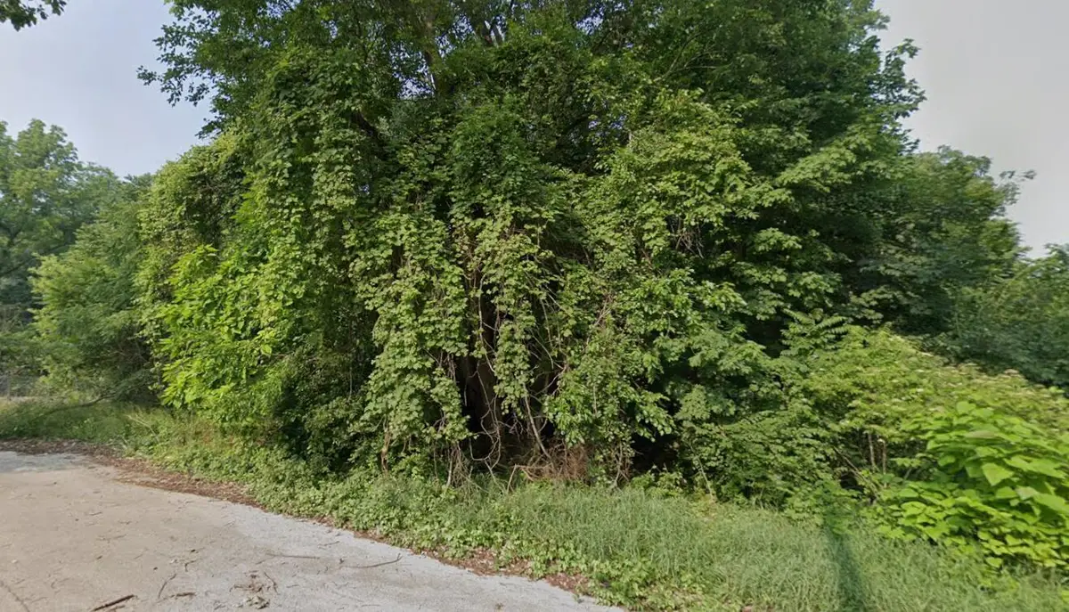 710 S Oak Street, Buchanan, MI 49107 - #1