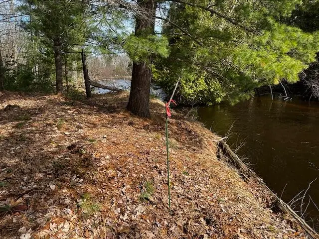 9240 W River Road, Irons, MI 49644 - #2