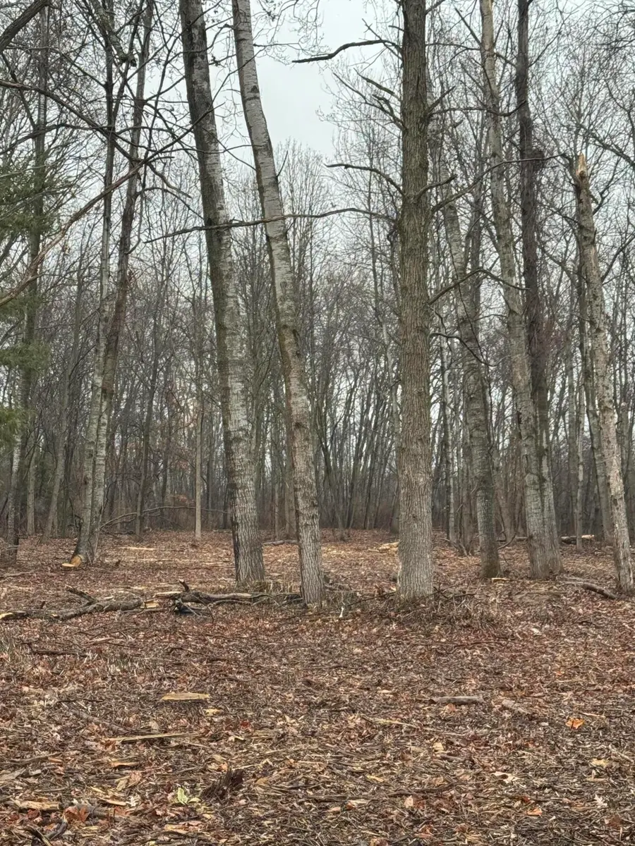 S Main Street, Au Gres, MI 48703 - #3