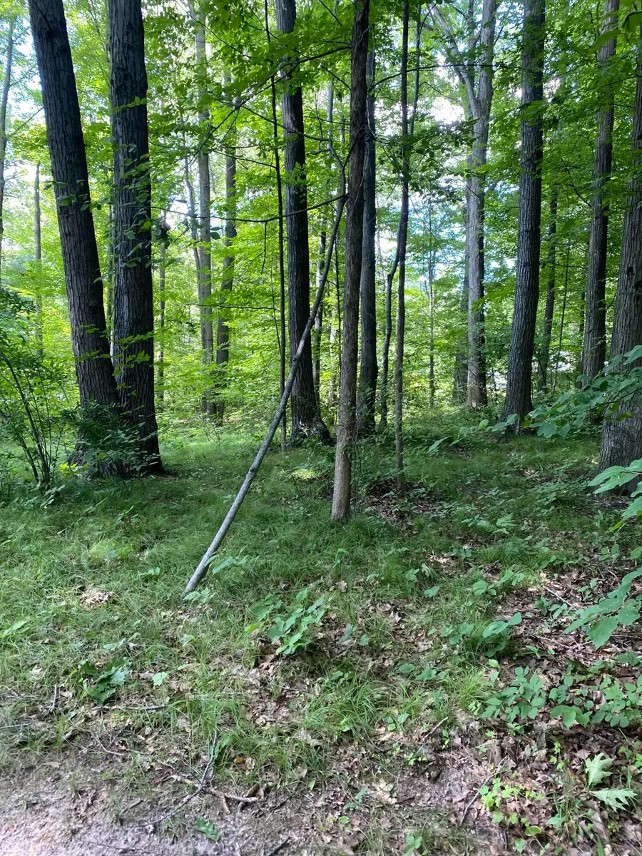 Elm Drive, Lakeview, MI 48850 - #3