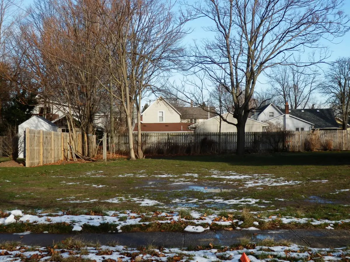 217 Clinton Street, South Haven, MI 49090 - #1