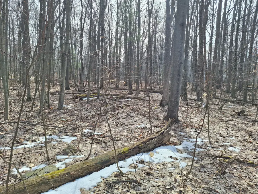 V/L Birch Street #LOT 10, 11, 12 BL 13, Ludington, MI 49431 - #3