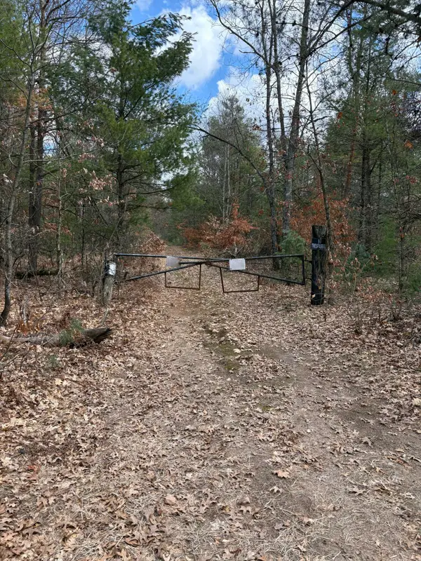 0 E Skeels Road, Holton, MI 49425