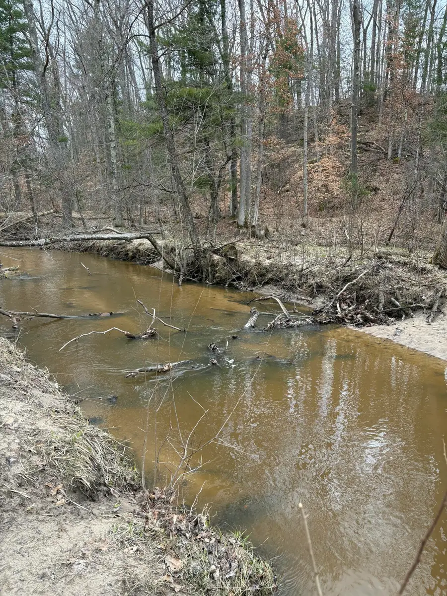 0 E Skeels Road, Holton, MI 49425 - #2