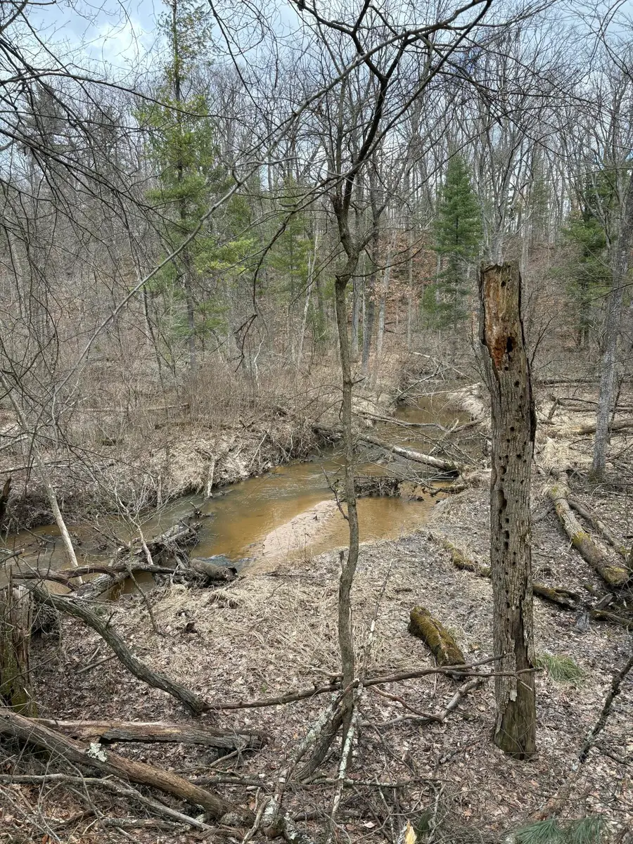 0 E Skeels Road, Holton, MI 49425 - #3