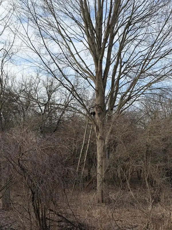 VL Harper Road, Holt, MI 48842