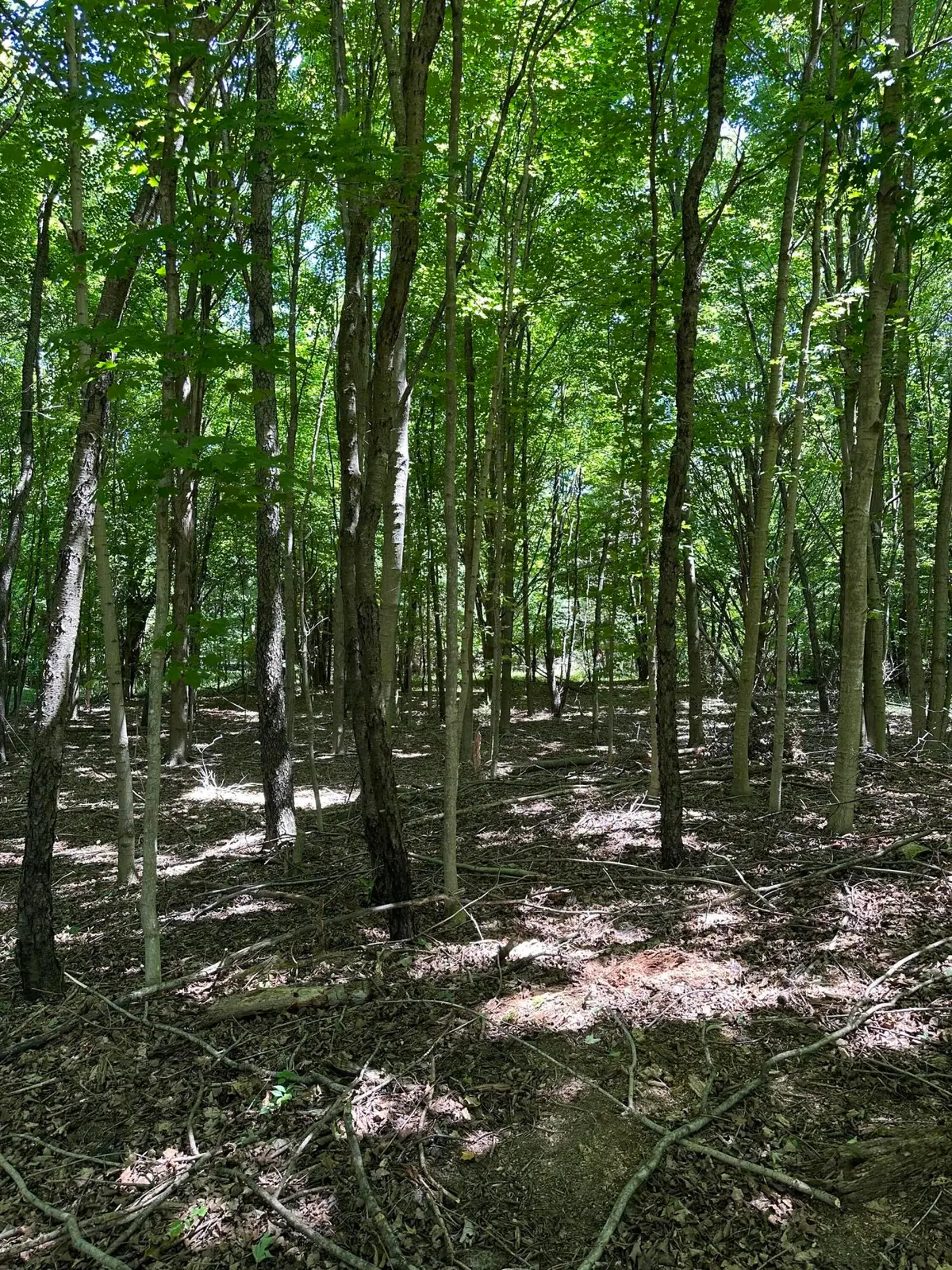 Lot 2 Christopher Lane, South Haven, MI 49090 - #1