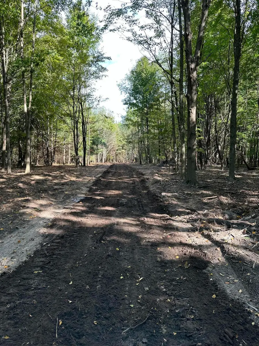 Lot 2 Christopher Lane, South Haven, MI 49090 - #2