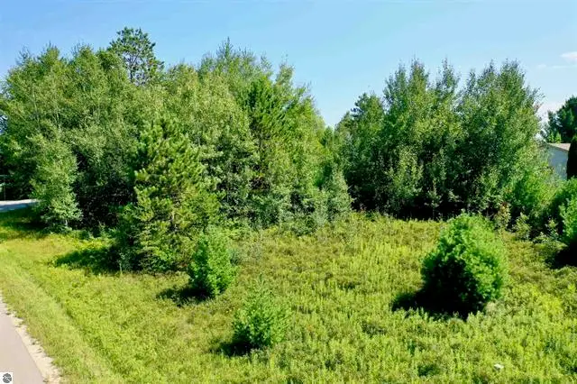 Lot 83 Mockingbird Lane Lane, Cadillac, MI 49601 - #3