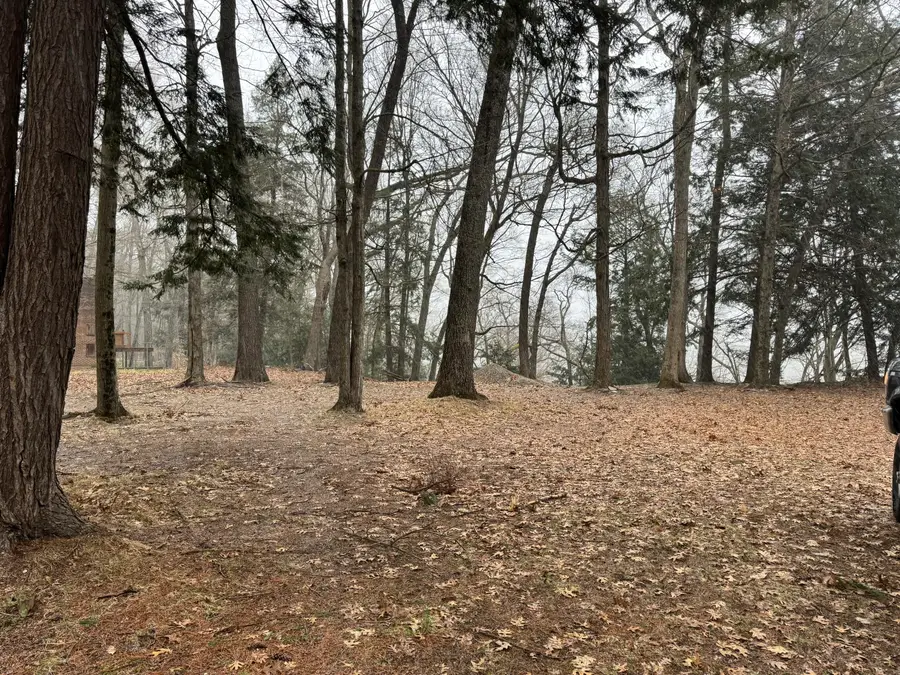 V/L S Teal Lane, Newaygo, MI 49337 - #3