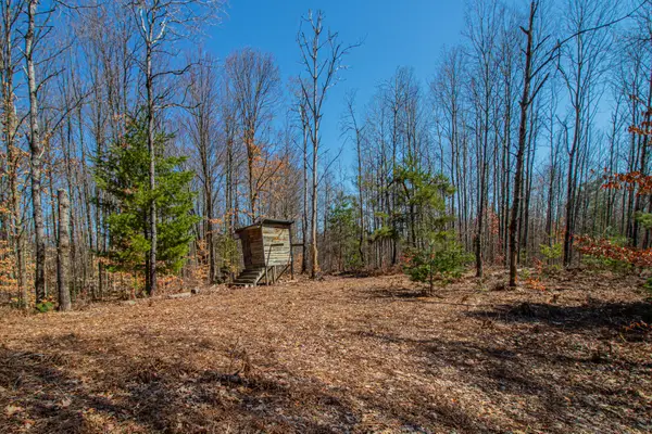 3069 E Monroe Street, White Cloud, MI 49349