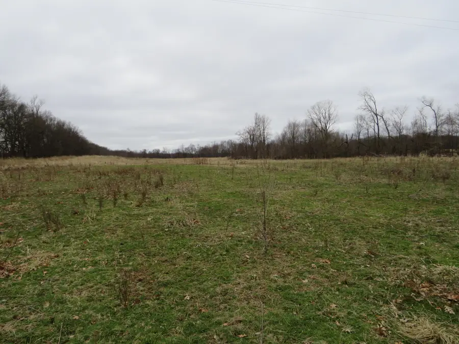 Vl Fenner Road, Laingsburg, MI 48848 - #3