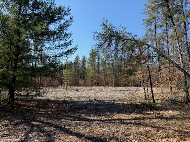 5209 S Nelson Road, Idlewild, MI 49642 - #2