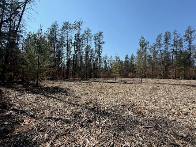 5209 S Nelson Road, Idlewild, MI 49642 - #3