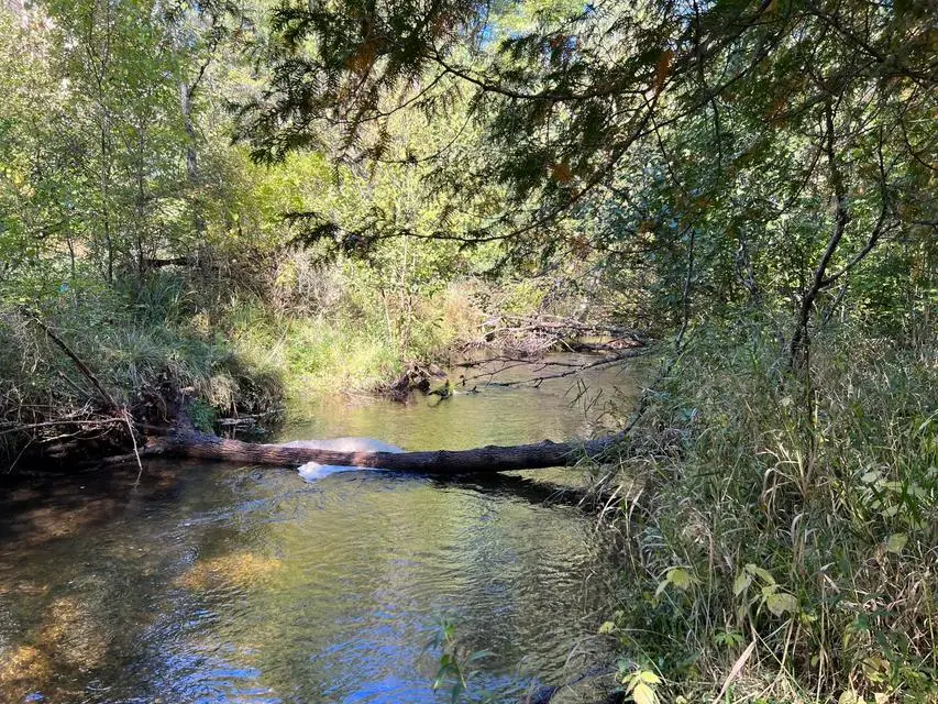 VL E Alpine, Luther, MI 49656 - #1