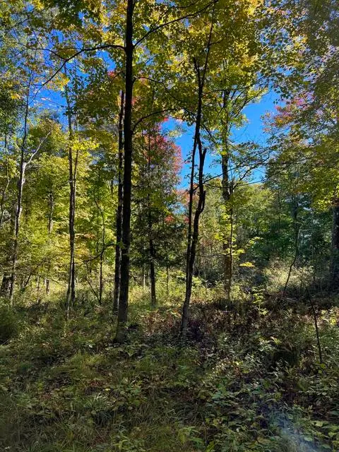 VL E Alpine, Luther, MI 49656 - #3