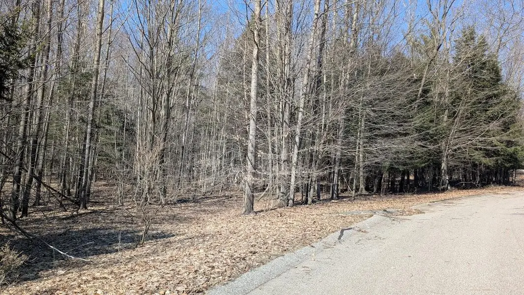 Opal Ridge Drive #68, Onekama, MI 49675 - #1