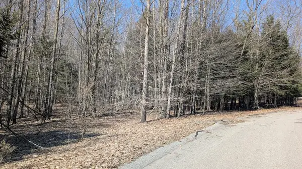 Opal Ridge Drive #68, Onekama, MI 49675