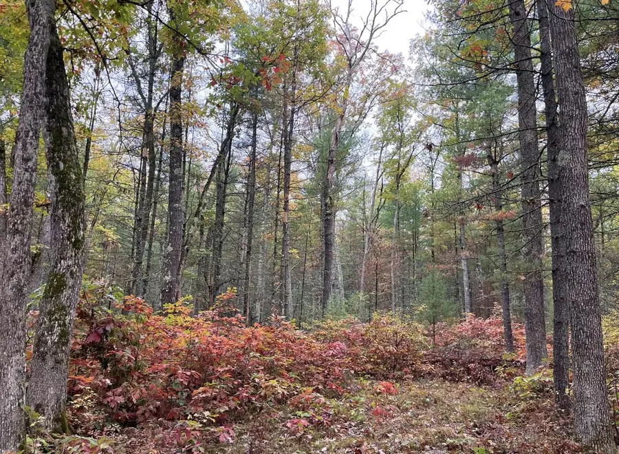 6159 S Forman Road, Baldwin, MI 49304 - #3