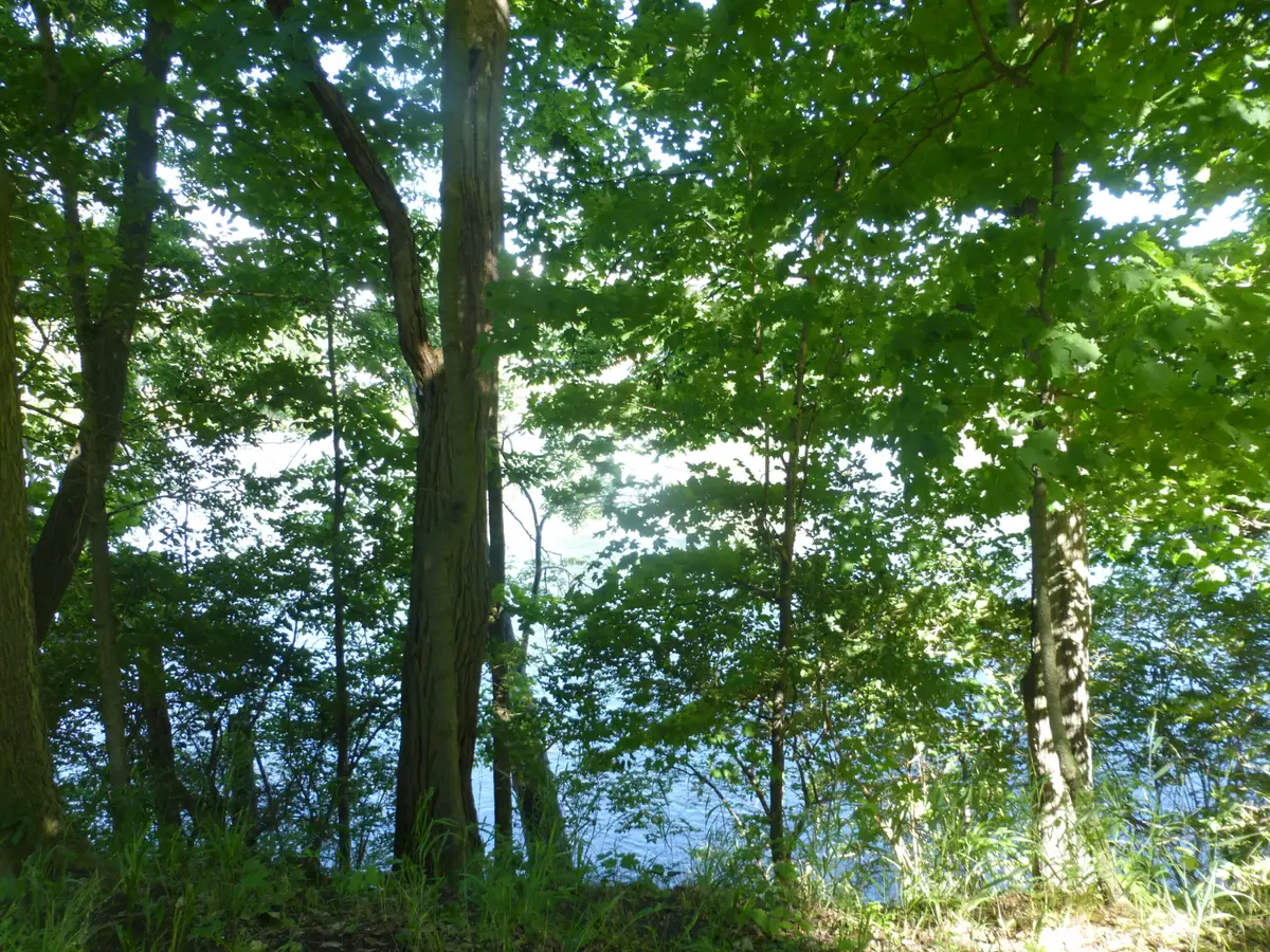 509 N State Street, Niles, MI 49120 - #1