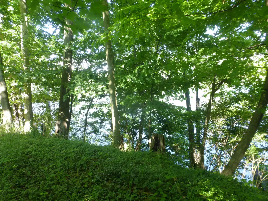 509 N State Street, Niles, MI 49120 - #2