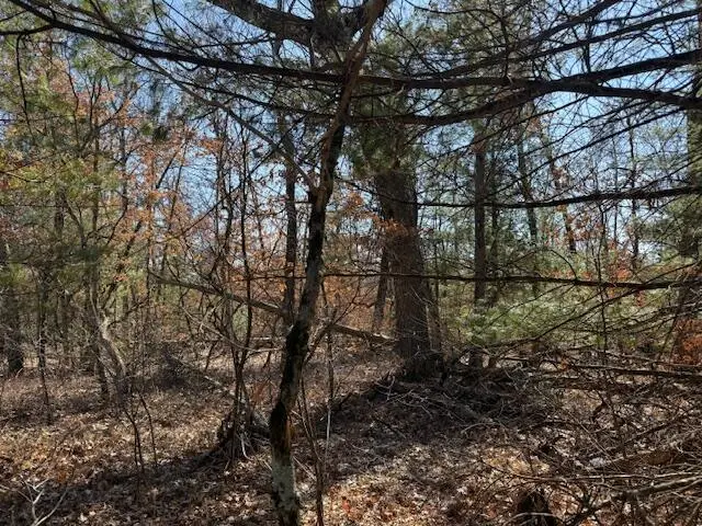 VL Erie Street, Baldwin, MI 49304 - #2