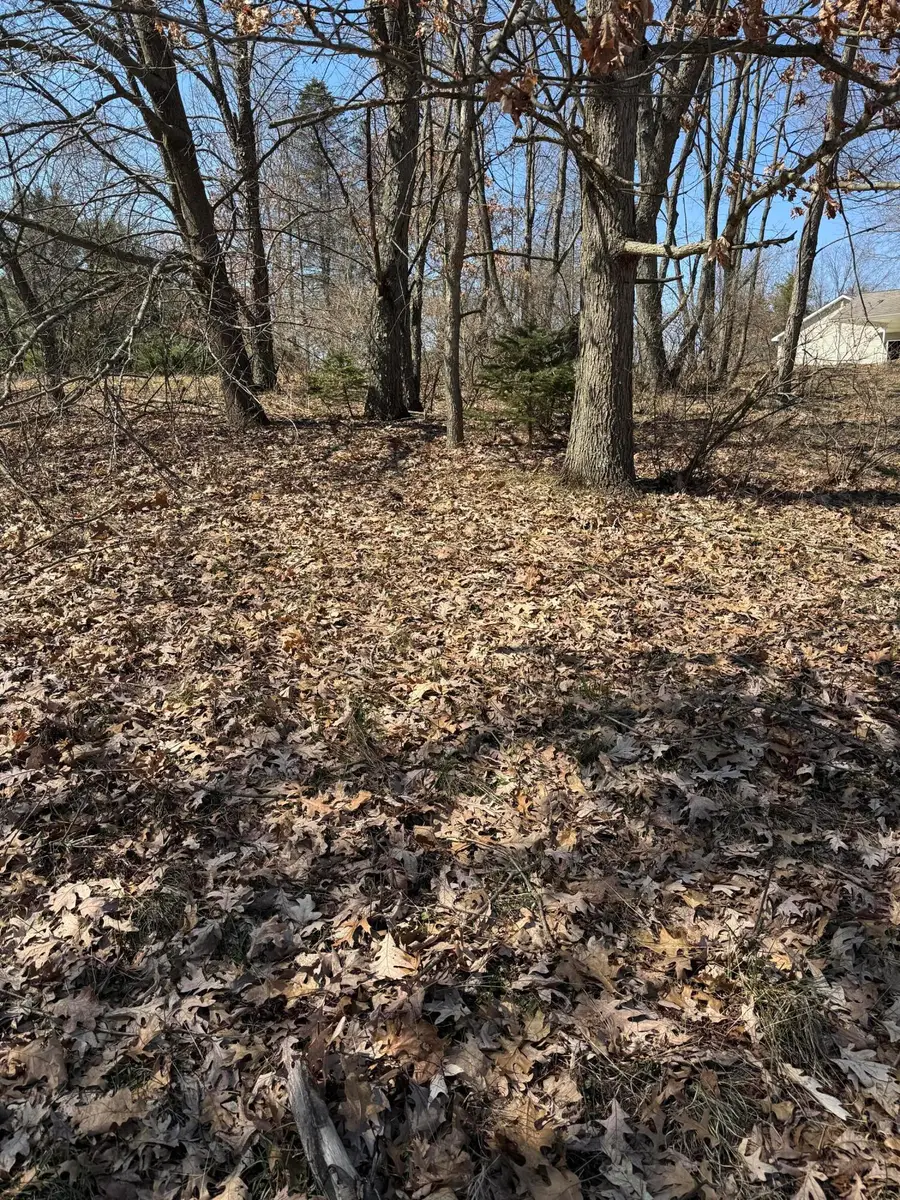 11472 Short Street, Stanwood, MI 49346 - #2