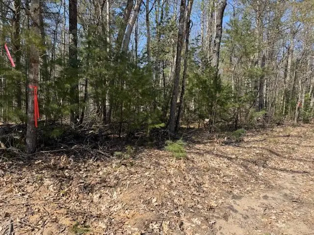 VL S Pershing Road, Baldwin, MI 49304 - #2