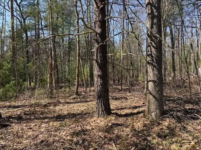 VL S Pershing Road, Baldwin, MI 49304 - #3