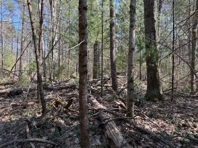 VL Lots 7-11 Pershing Road, Baldwin, MI 49304 - #3