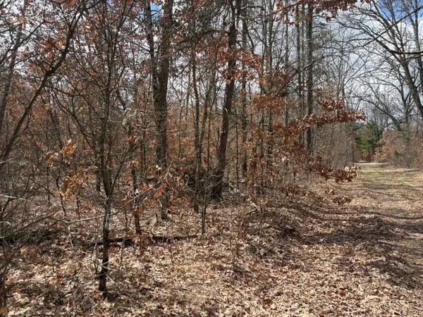 vl W Lexington, Baldwin, MI 49304