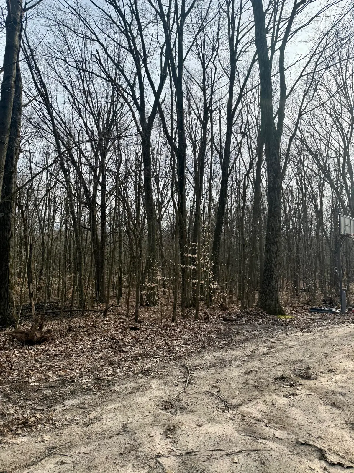 V/l Sycamore Street, Grand Junction, MI 49056 - #1