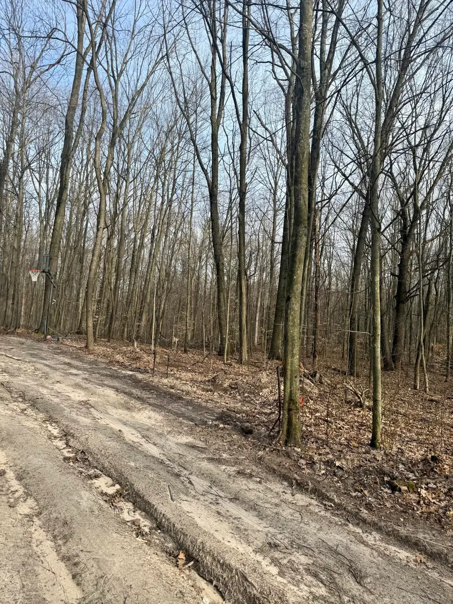 V/l Sycamore Street, Grand Junction, MI 49056 - #2