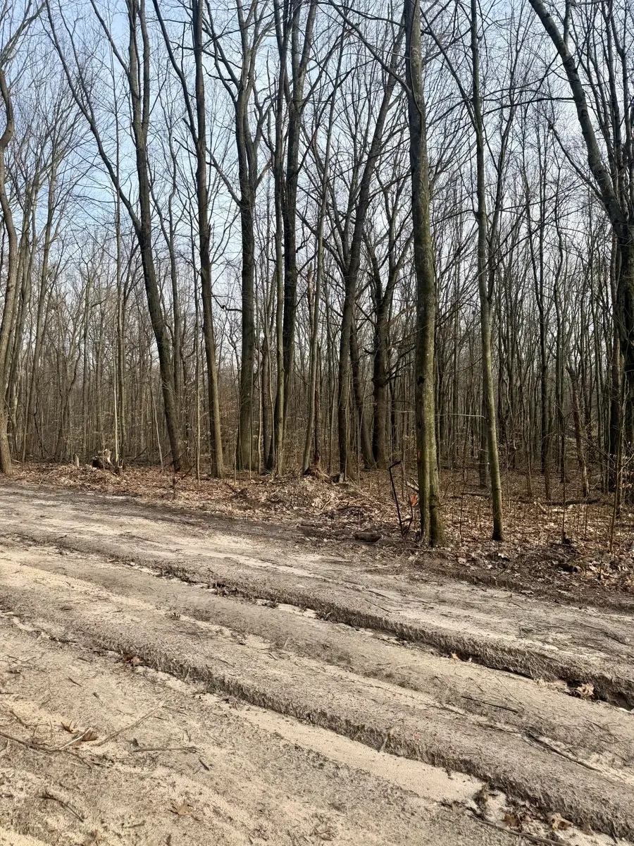 V/l Sycamore Street, Grand Junction, MI 49056 - #3