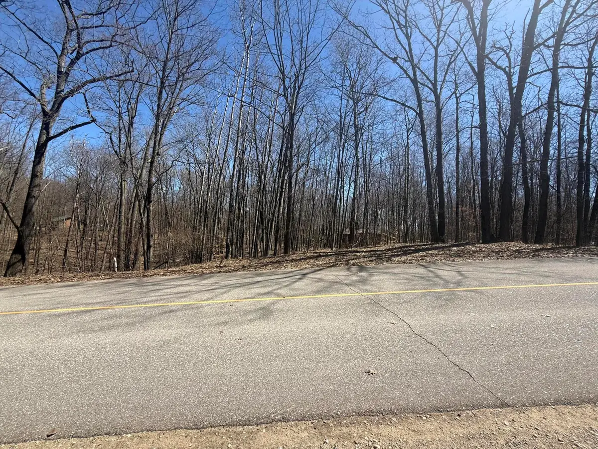 10270 Timberlane Drive, Canadian Lakes, MI 49346 - #1