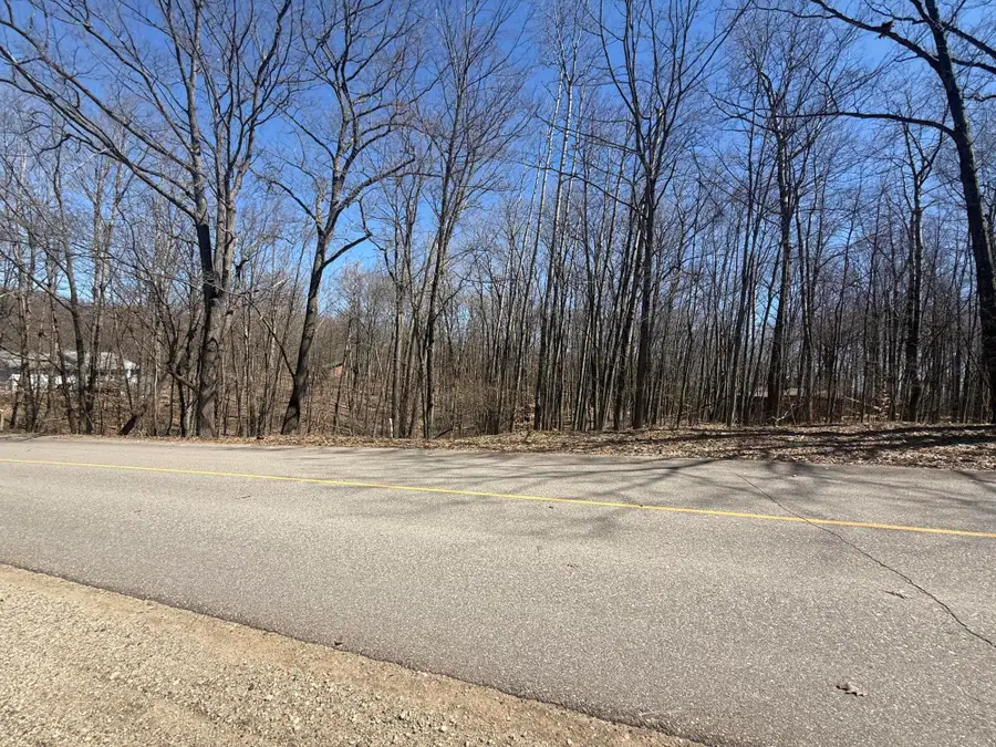 10270 Timberlane Drive, Canadian Lakes, MI 49346 - #3