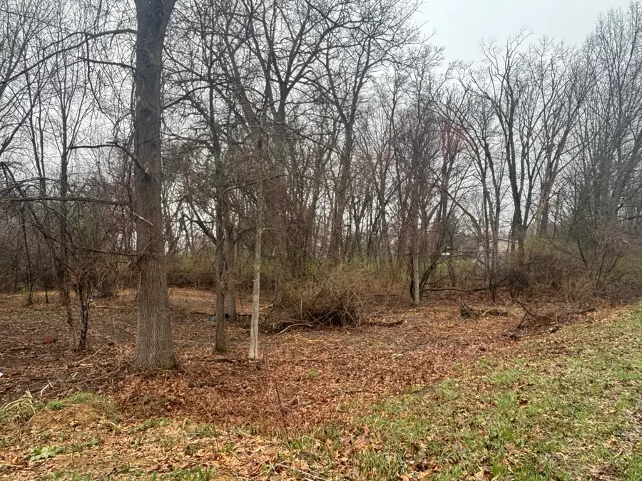 v/l Mirror Drive, Jerome, MI 49249 - #3