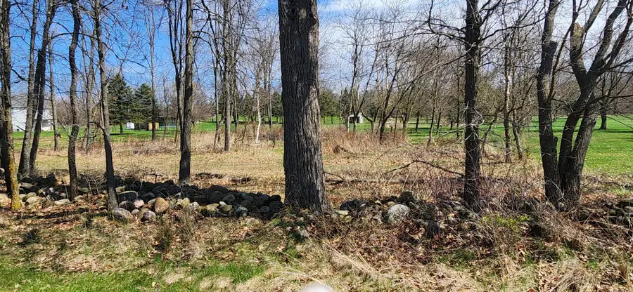 VL Cross Road, Horton, MI 49246 - #2