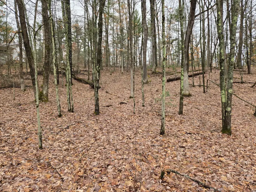 00 W Wilmas Way, Baldwin, MI 49304 - #2