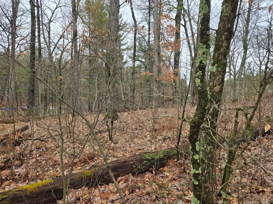 00 W Wilmas Way, Baldwin, MI 49304 - #3