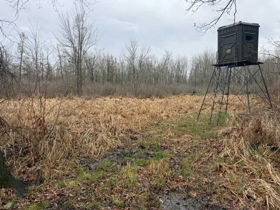 Dewey, Munith, MI 49259 - #2