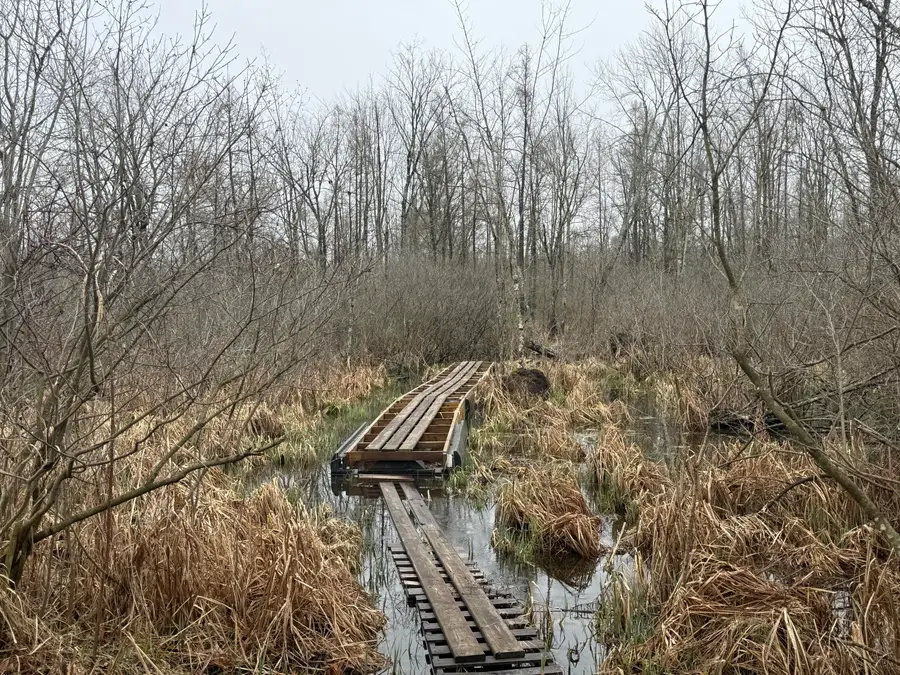 Dewey, Munith, MI 49259 - #3