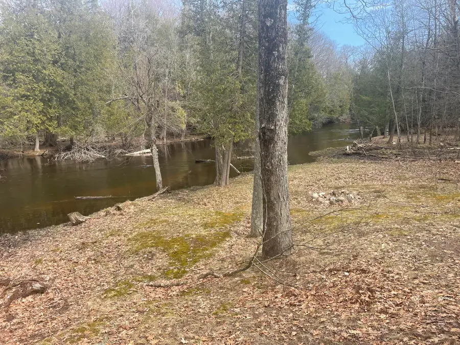 617 N Croswell Avenue, White Cloud, MI 49349 - #3