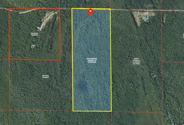 Maynard Road, Cheboygan, MI 49721