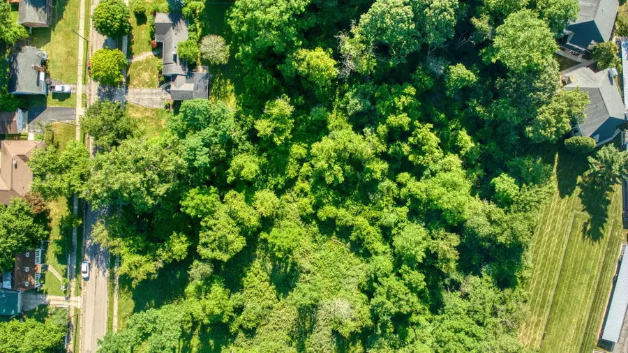 509 Sulgrave Avenue, Jackson, MI 49203 - #3