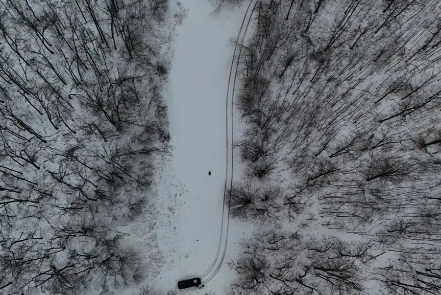 Tower Rd Road, Curran, MI 48728 - #3