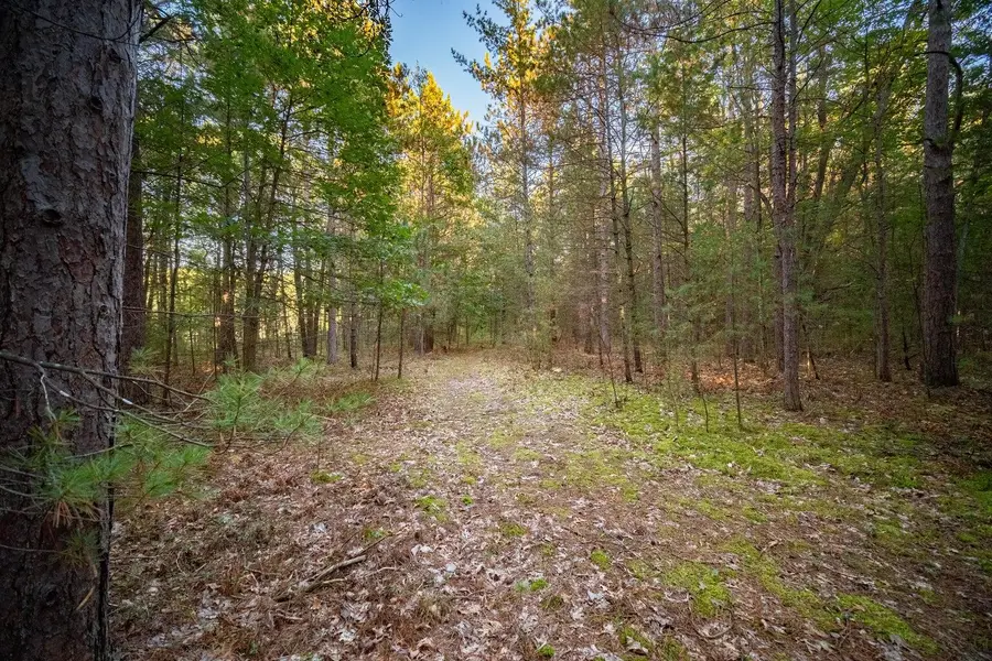 North Wildwood Road, Manistee, MI 49660 - #3