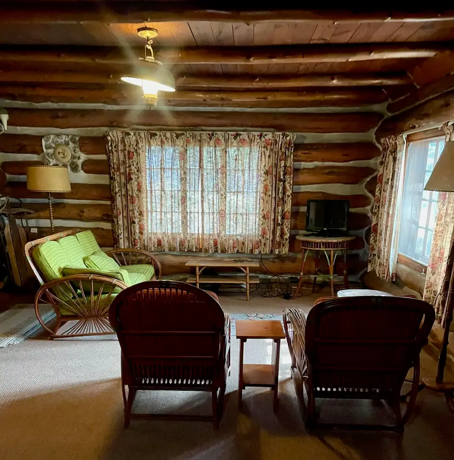 13239 N Gordon Avenue, Bitely, MI 49309 - #3